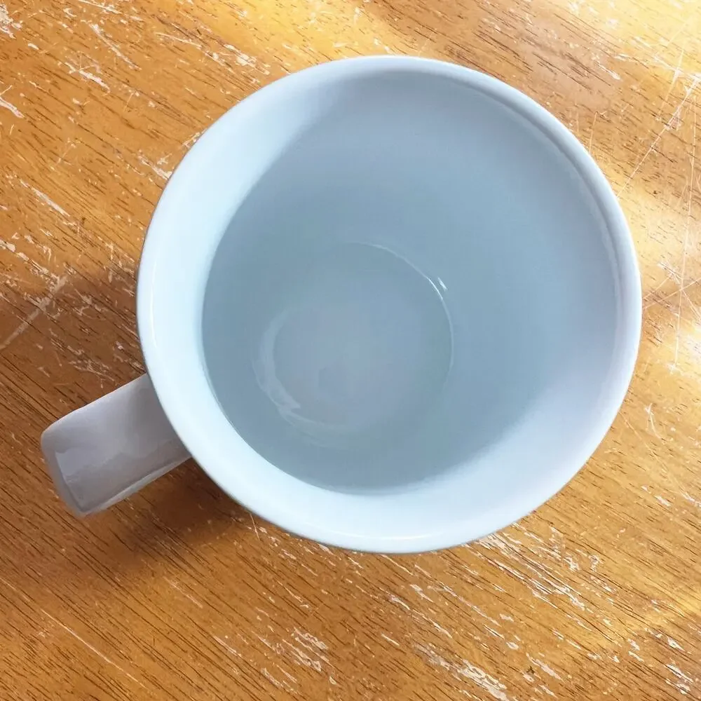 Sur La Table Exclusive Easter Collection Teal Blue Mug Coffee Cup Bunny